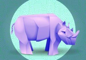 SitePoint NFTs – or how we floated rhinos on the OpenSea