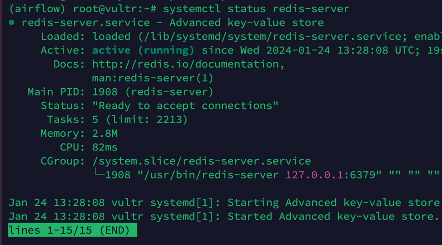 Redis server status check